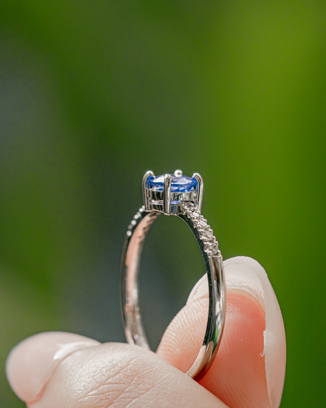Blue sapphire solitaire with diamond shoulders in white gold, held against green leaves